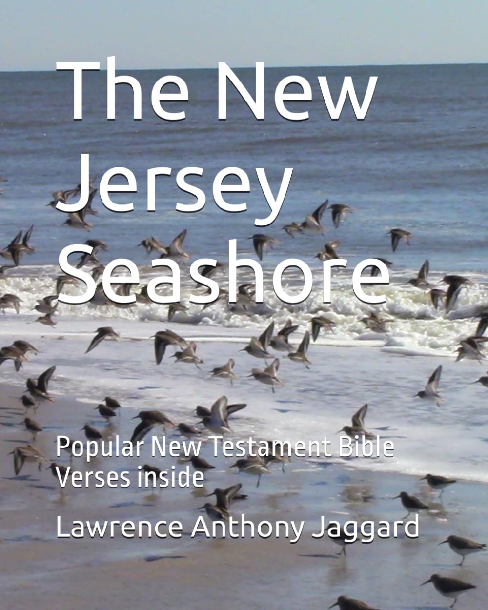NJ Seashore